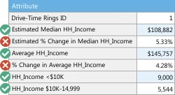 Custom report demographics